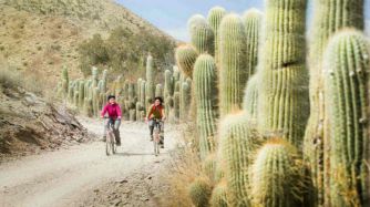 Parque Nacional Los Cardones: la tierra de los cactus