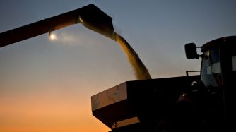 Trump Trade Spat May See Top Soy Exporter Brazil Turn to Imports