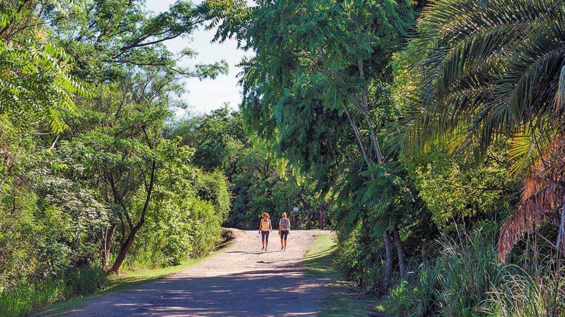 Reabrieron la reserva ecológica en la Costanera Sur y el Botánico Perfil