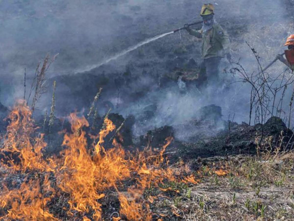 Incendios En Corrientes Desde Adentro Necesitamos Una Ayuda Seria Del