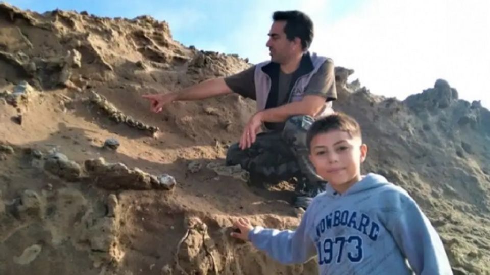 Increíble un niño de 8 años encontró los restos de un perezoso gigante