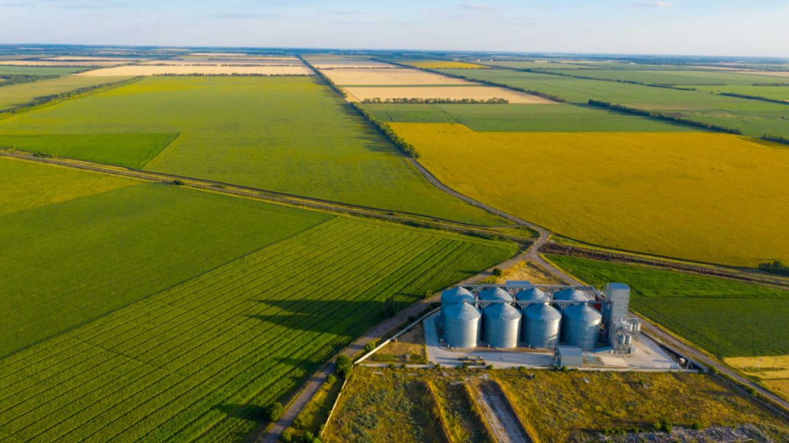 La Compra Y Venta De Campos Se Reactiv En El Primer Semestre Perfil