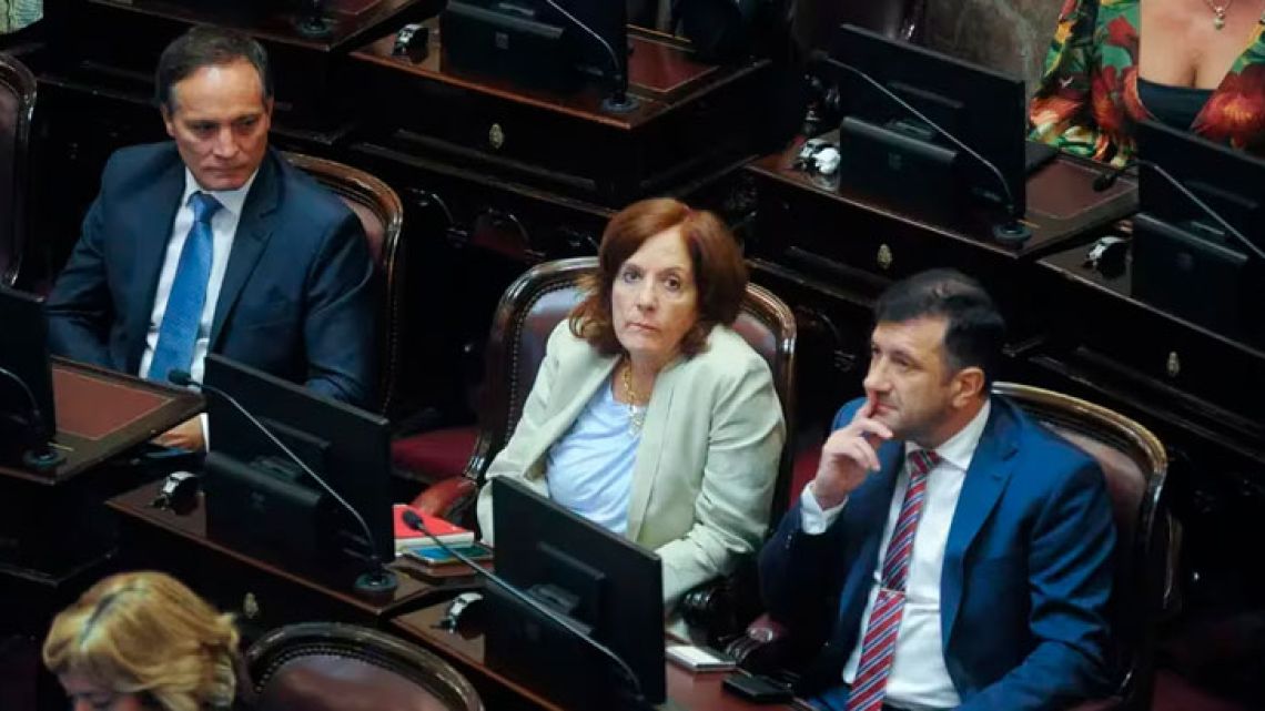 Alejandra Vigo y un grupo de senadores pidieron una sesión especial