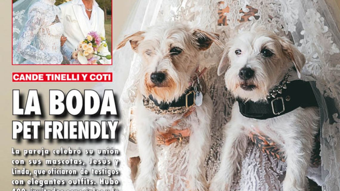 Cande Tinelli Y Coti Sorokin En La Tapa De Caras Su Boda Pet Friendly