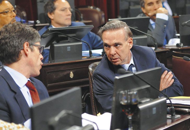 Pichetto. Le comunicó a los diputados que modificarían el proyecto que llegó de Diputados.