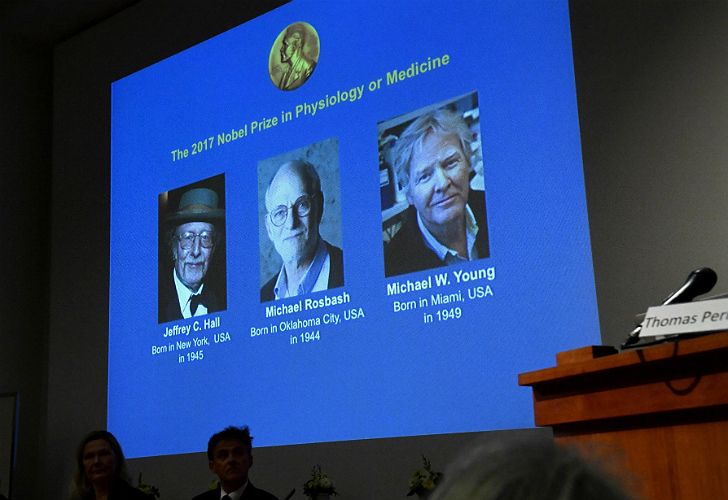 Una pantalla muestra a los ganadores del Premio Nobel de Medicina 2017, durante la conferencia de prensa en Estocolmo, Suecia