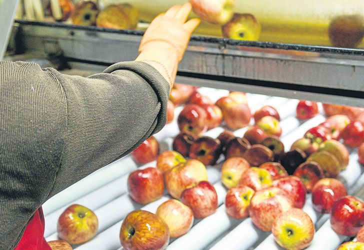 MAS MERCADOS. La exportación de carne y fruta puede totalizar unos US$ 400 millones.