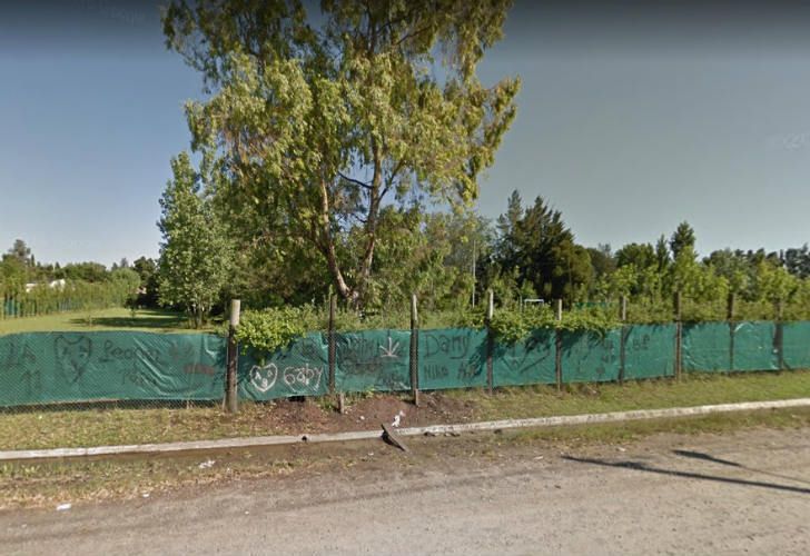 León suelto en La Plata: dos camionetas, caballos y veterinarios lo buscan León suelto en La Plata: dos camionetas, caballos y veterinarios lo buscan