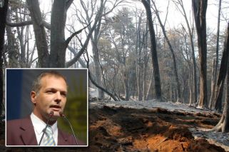 Buzzi no descarta que los incendios en Chubut fueran por el