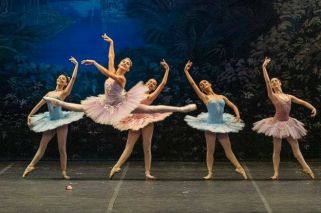Especialistas advierten por la falta de un equipo médico en el Teatro Colón