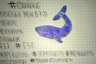 ¿Por qué un adolescente puede ser víctima de la 'Ballena Azul'?