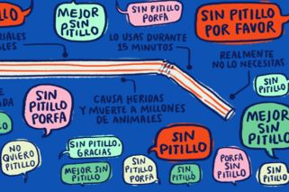 Agrupaciones ecológicas en campaña contra el uso de sorbetes