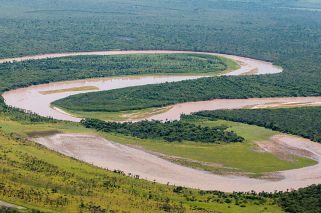 El Impenetrable chaqueño se convirtió en parque nacional