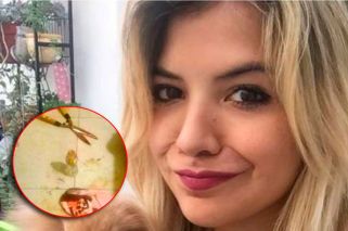 Una libreta, la clave para saber qué pasó con el hombre mutilado con una tijera de podar