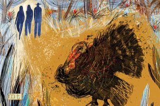 Pavos