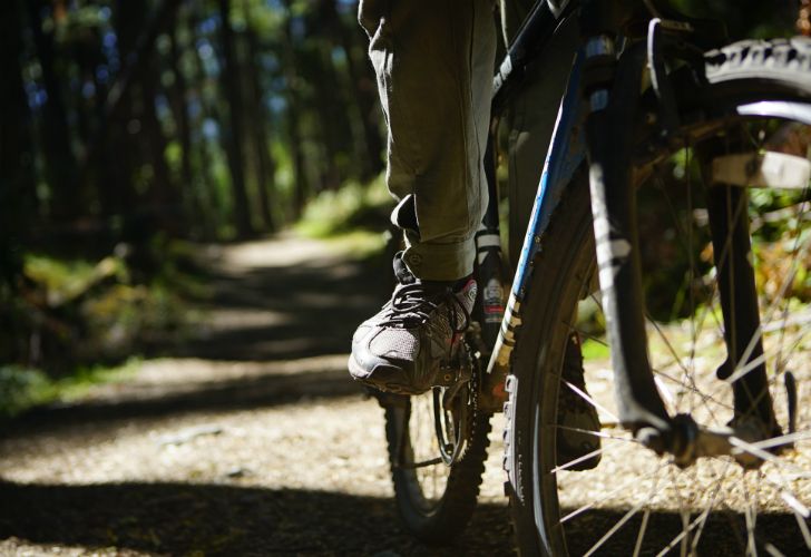 5 parques nacionales para recorrer en bici este otoño