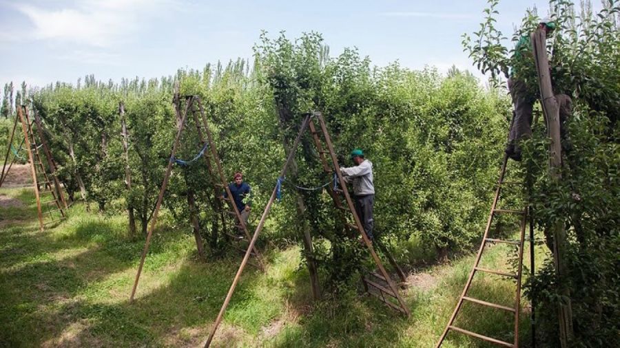 trabajo rural