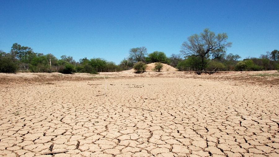 Una de las peores sequías de las últimas décadas