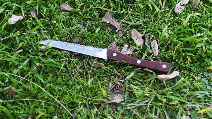 El cuchillo que se ecntró tirado en el Parque Tres de Fbrero de Palermo