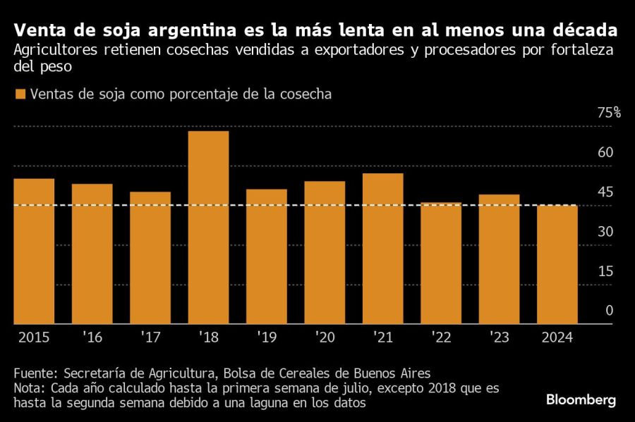 La venta de soja argentina es la más lenta en al menos una década.