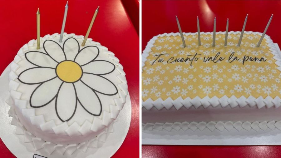 Las tortas de cumpleaños de Cris Morena. 