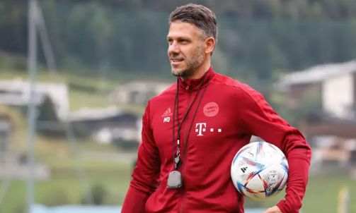 demichelis