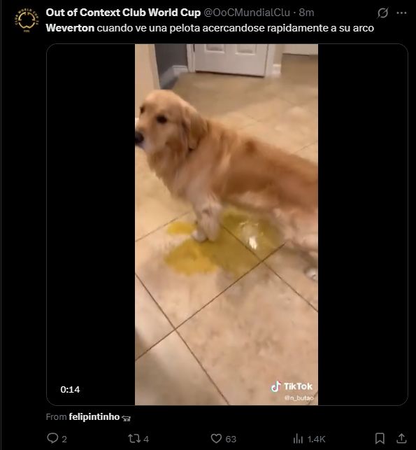 memes