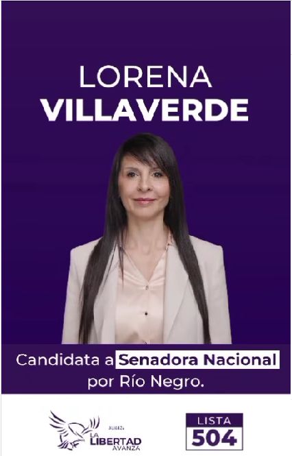 Lorena Villaverde: de escándalo judicial a epicentro de la crisis en La Libertad Avanza - Image 2