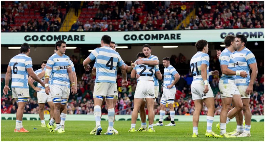 los pumas