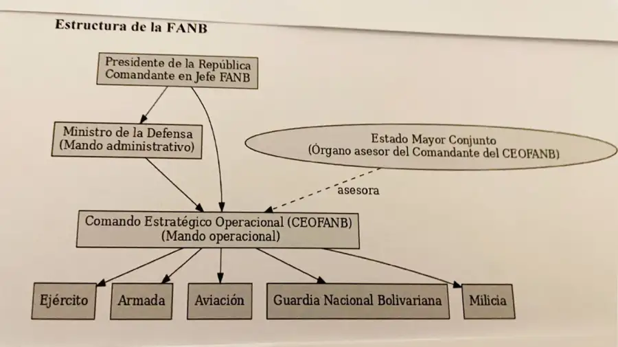 Estructura de la FANB