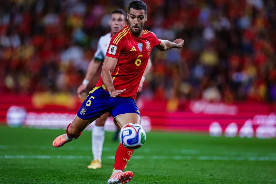 merino