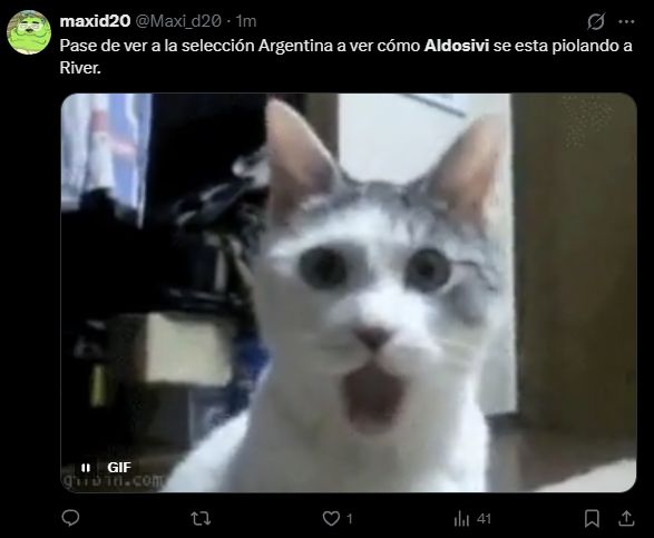 memes