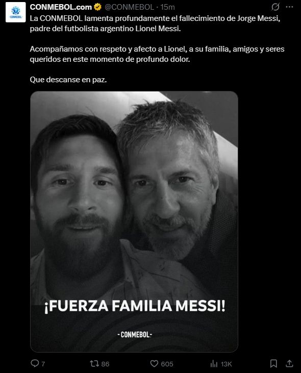 profesional