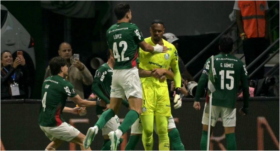 palmeiras