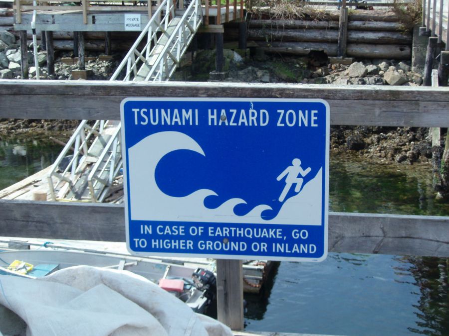 1229_Cómo actuar frente a un tsunami
