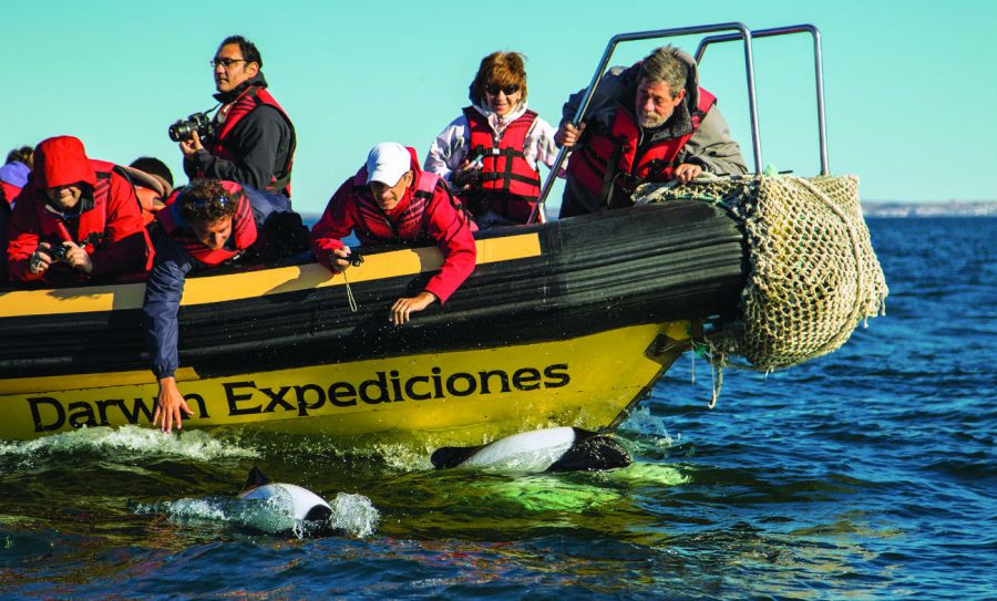 11_Puerto Deseado: vida silvestre en aguas con historia