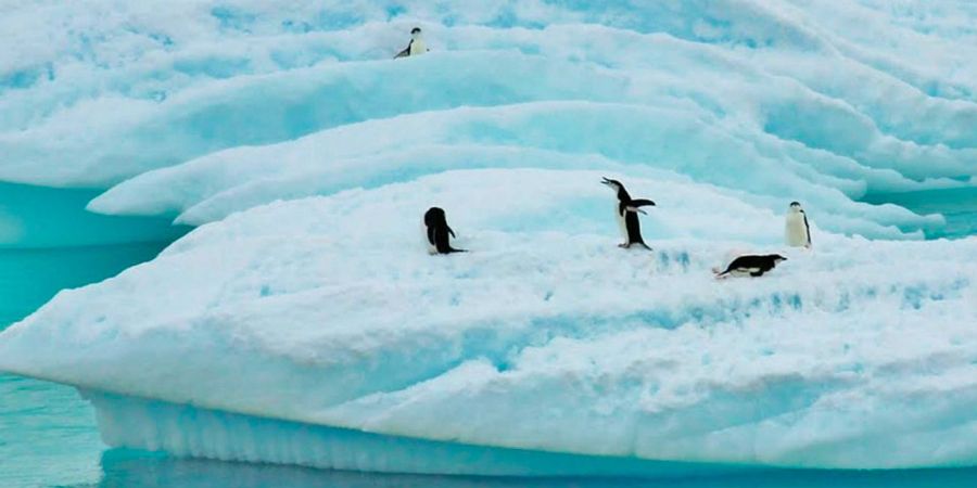 0113_Cómo se deben comportar los turistas en la Antártida
