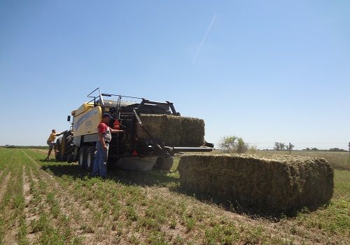 La producción de megafardos está en alza debido a los beneficios económicos que representa en materia de transporte.