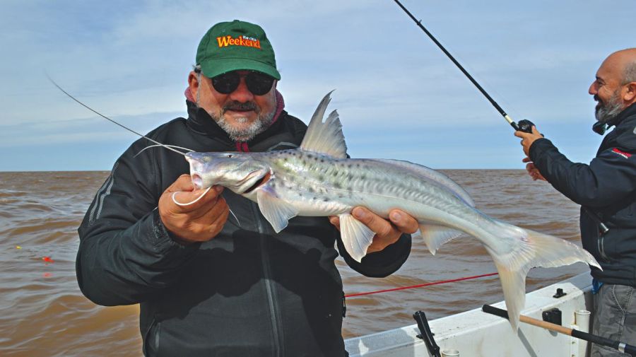 0603 pejerreyes rio de la plata