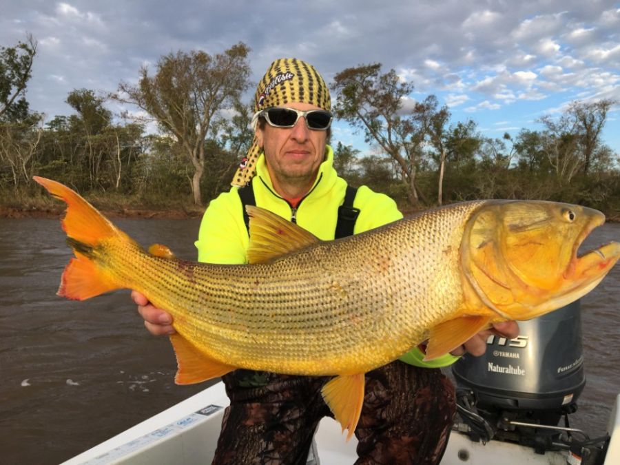 Las mejores ofertas en Líneas de Pesca de pesca de oro Rio y líderes