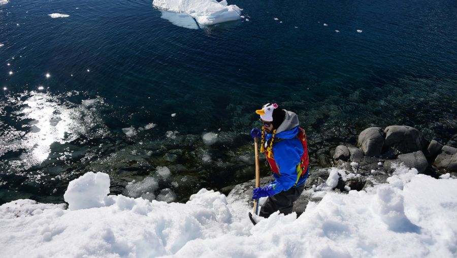 Cruise ship crew member antarctica stock 