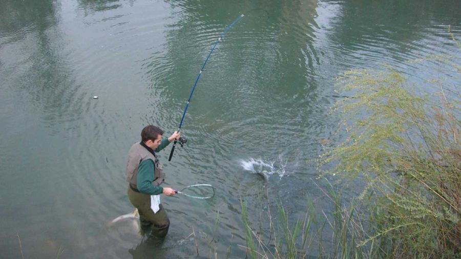 1212_enganches_pesca