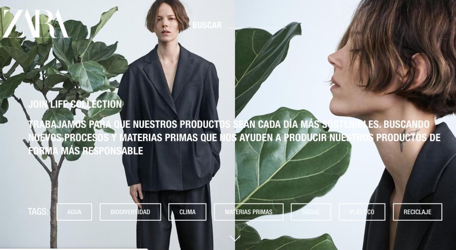 Zara, los detalles de su tienda local online