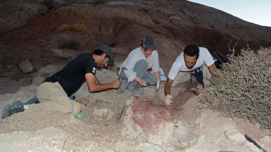 dinosaur El Cuy Tralkasaurus cuyi