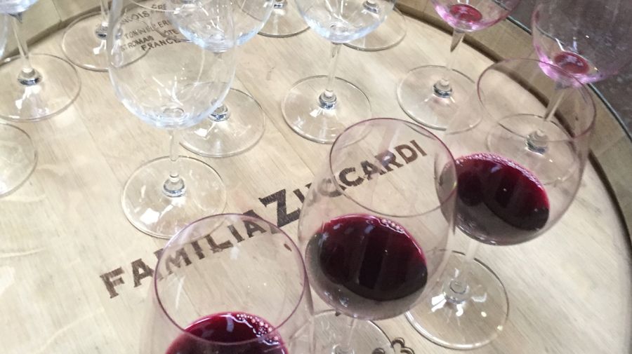 Zuccardi: lugares de vinos, vinos de lugares