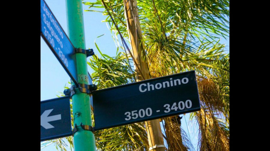 Chonino, el héroe que inspiró el Día Nacional del Perro en Argentina