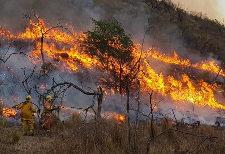 Quiénes están detrás de los incendios forestales en la Argentina