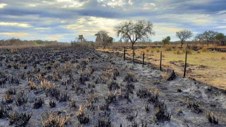 Alarma: la Patagonia atraviesa una preocupante sequía
