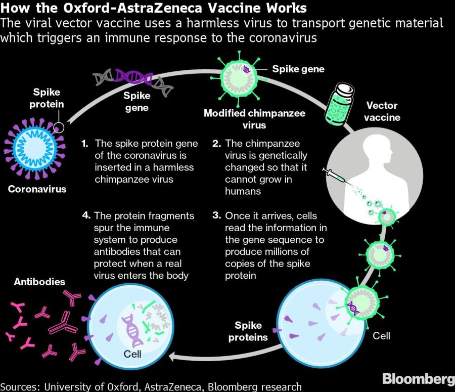 How the Oxford-AstraZeneca Vaccine Works