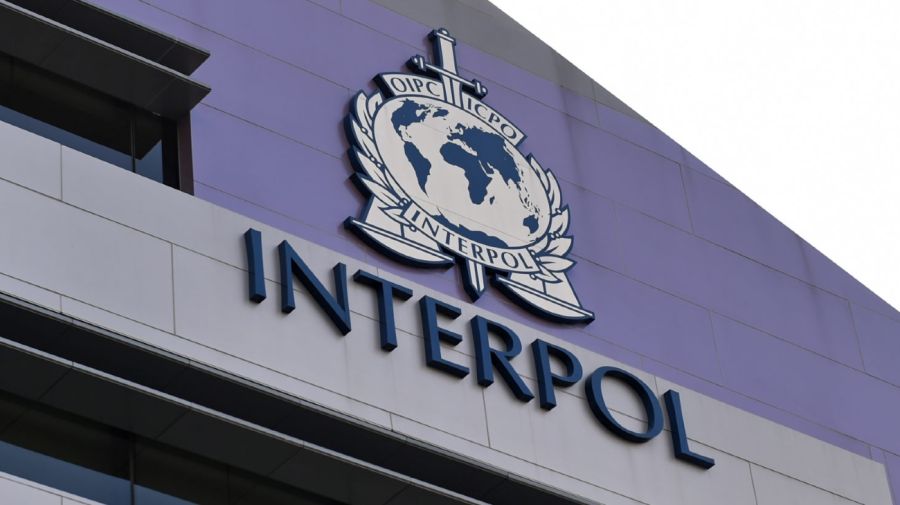 Interpol Crimen Organizado